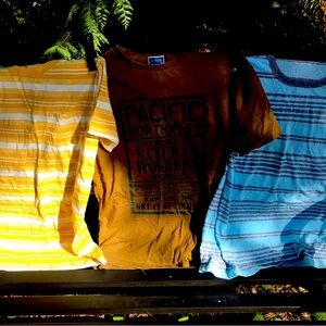 Lot of 3 shirts for 14 yo